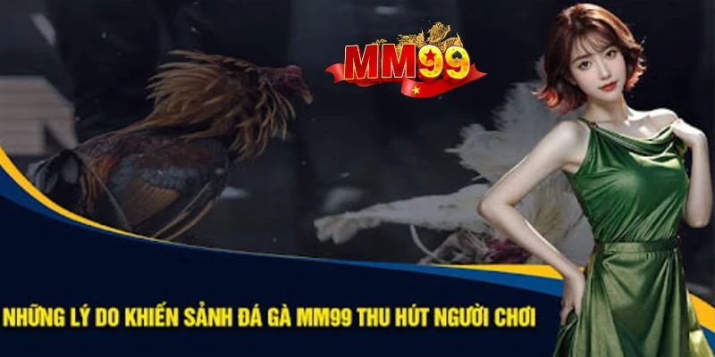 lý do nên chọn sảnh đá gà mm99 lý do nên chọn sảnh đá gà mm99