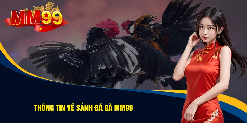 tổng quan về đá gà mm99 tổng quan về đá gà mm99